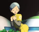 Bulma SH