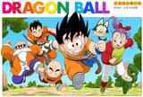 DBFCM_110