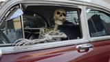 Mister Bones really kickass ride