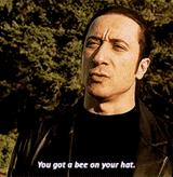 furio-bee