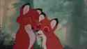Fox Lovers_thumb.jpg
