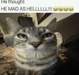 8phoz3