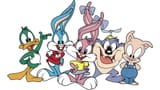 tiny_toon_adventures_1990_hero