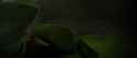 Based Grievous_thumb.jpg