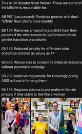scott weiner