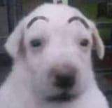 huh