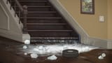 vlcsnap-2025-08-05-08h20m19s451