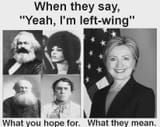left-wing