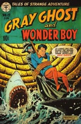 Gray Ghost and Wonder Boy