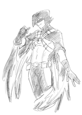 The Boy Wonder Big Bird Red Robin Tim