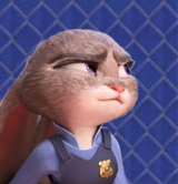 judy shiggy