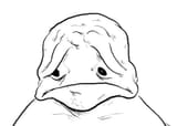 frown