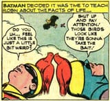 batman-robin-facts-of-life