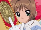 cardcaptor niggas