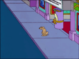 Simpons dog suspicious