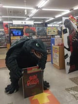 gamera shill