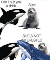 Whaleblocked