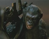 Koba_-_CE_(2)