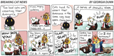 2025-08-10 BreakingCatNews