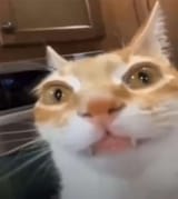 20240725_171225