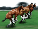 funny-horse-race-parallel-universe-pn4s4im9143wqpzg