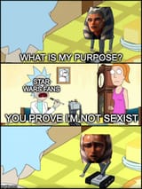 Ahsoka purpose