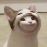 1723415779575213