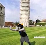Wrong way dipshit