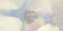videoplayback_thumb.jpg