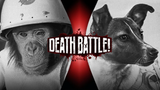 Laika vs Ham