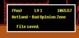 bad opinion zone