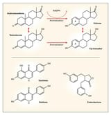 nejmra000471_f1