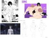 Sonic TG ref