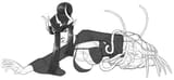 SPOILER_image (1)
