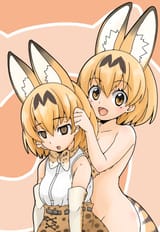 C7wzbm5VMAEzX41