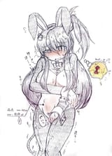 bulgybunny