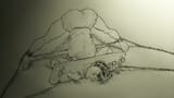 123392094_p0_master1200