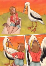 pelican1