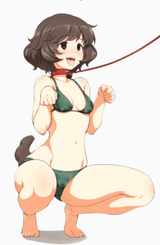 nori
