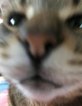 20210831_071802