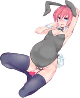 Mine mura - 31943294_p0 Pregnant Trap Bunny Male