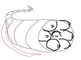adfs7yuads