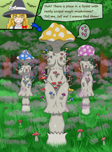 FungalMarisa