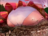 narue butt
