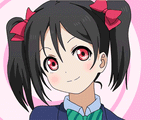 nico bob