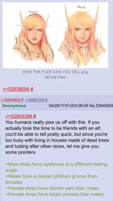 Male and Female Elves