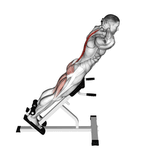 back-extension