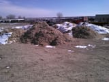 IMG_2025-02-21_13-46-29