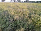 IMG_2022-06-10_18-11-42