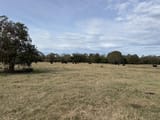 IMG_0001